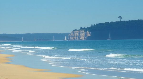 Séjournez à arcachon : 238 locations de vacances à explorer !