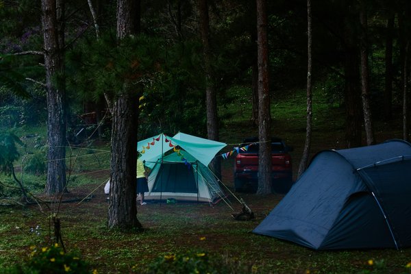 Découvrez le camping de luxe au cœur des landes cette été